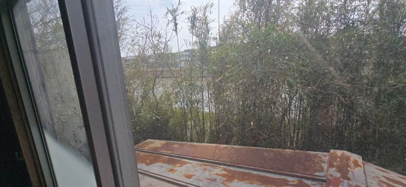 ■目の前には川が流れていて、室内からも望めます