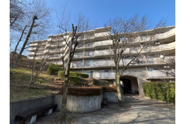 椿峰ニュータウン32街区3号棟の外観