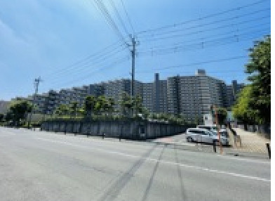 外観：311002335217