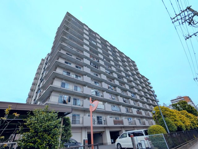 外観：313004820400