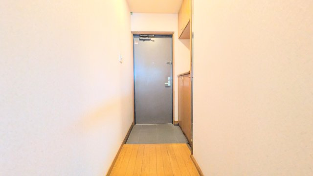 （画像は明るさ、その他加工しています）