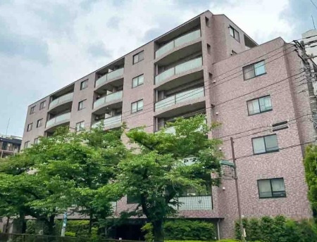 外観：313004558017