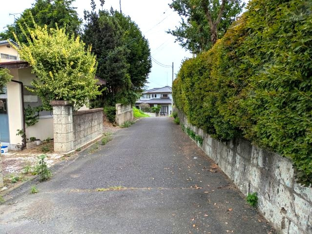 約4.5ｍ　