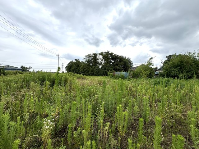 土地面積約63坪・自由設計で夢のマイホームはいかがでしょうか！希望の間取りが叶いやすい整形地！