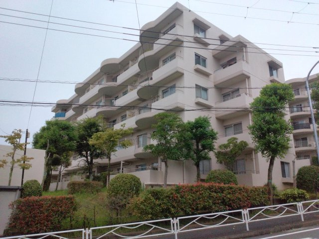 外観：314002776600