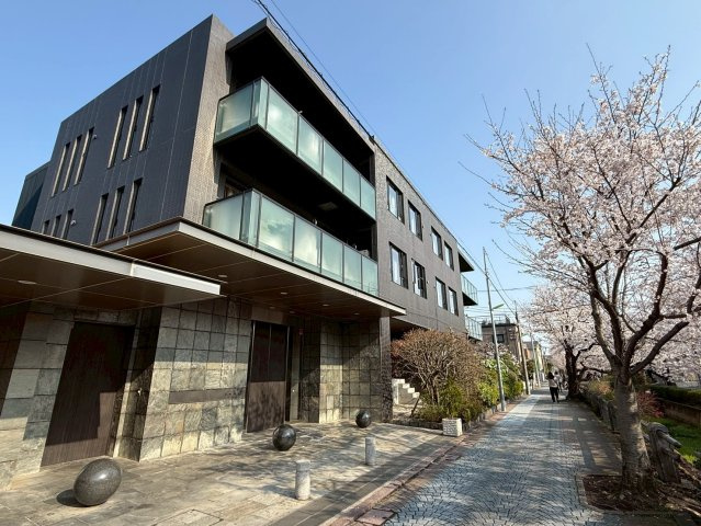 満開の桜並木に美しく映える、三菱地所旧分譲の重厚感溢れる低層レジデンス。