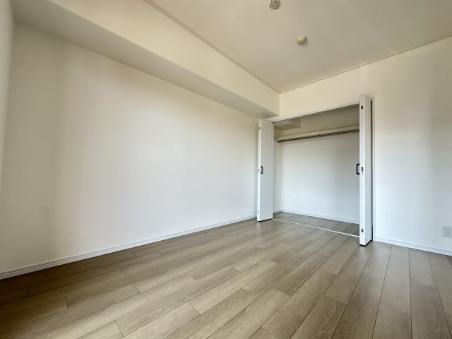枕棚があるクローゼットは多様なお洋服の収納にも対応しやすく、大切なお洋服をきれいな状態で収納できます。