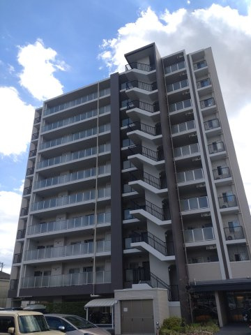 外観：339000051742