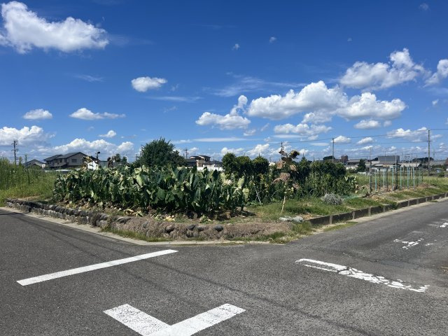 外観：323000465746