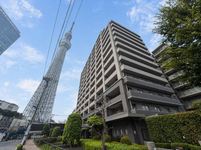 外観：313004911386