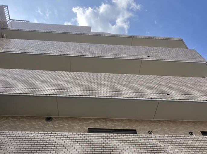 外観：313004625197