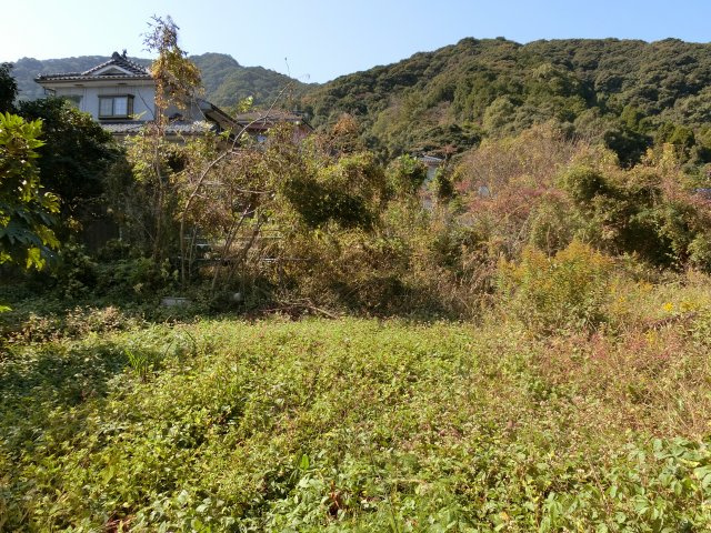 外観：346000040027