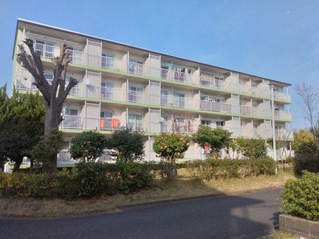 外観：314002685818