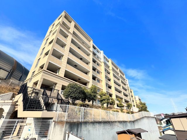 外観：314002668267