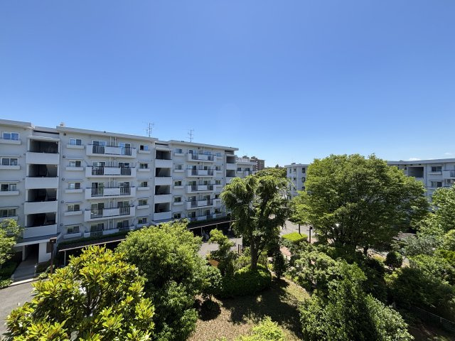 敷地に入ると、建物と調和した植栽が美しく季節を感じられます。