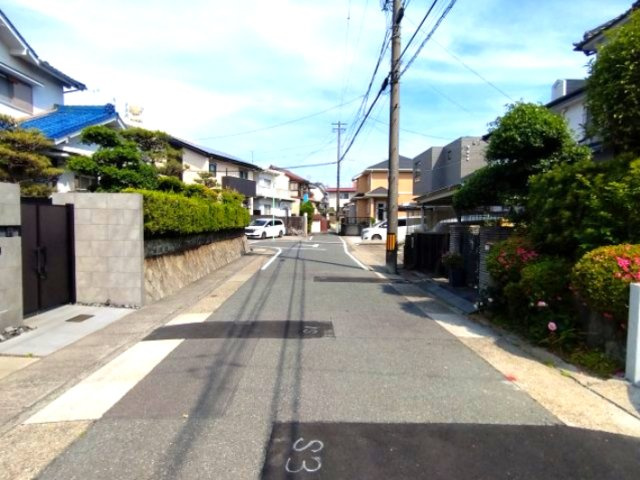 現地写真　2026年5月14日撮影(上物あり)