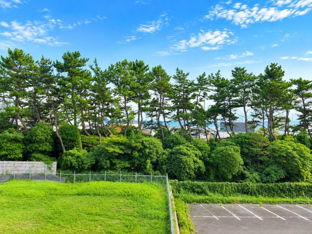 ◆木々の隙間からきらめく海を望む住環境！