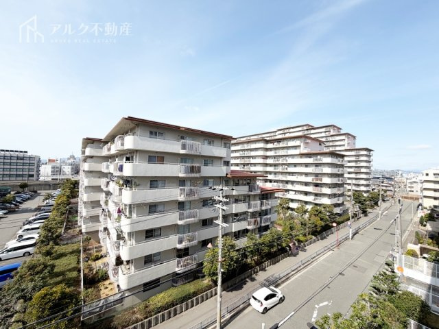展望