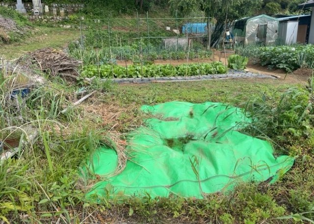 土地を買う際、住む地域の自治体や福祉の補助制度にも注目してみましょう。子供や老人の医療補助やゴミ出しのルールなど、自治体によってルールに大きな違いがあるため、暮らしやすい土地で判断するとよいでしょう。
