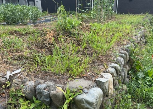 土地の前の道路に消火栓が設置されていることがあります。この場合、道路交通法第45条第1項により、駐車禁止の場所が指定されています。そのため、車庫などの駐車スペースをつくることができない場合があります。