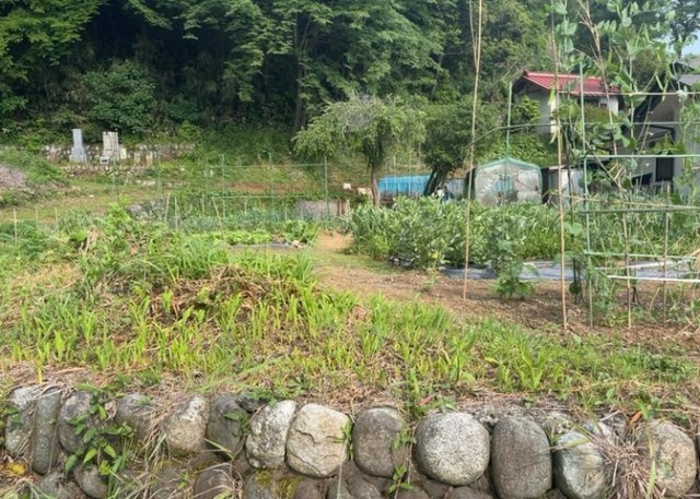 家を建てる前提で土地を探している場合、地盤の丈夫さは譲れない条件の一つです。地盤が脆弱だと追加工事が必要となります。また、過去に地盤沈下や液状化現象を起こした土地は、できるだけ避けた方がいいでしょう。