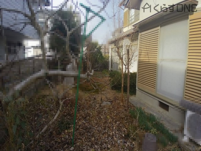 庭