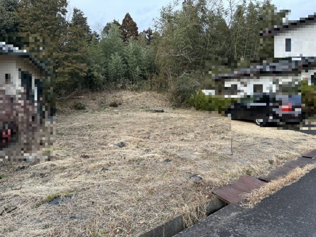 外観：325000116502