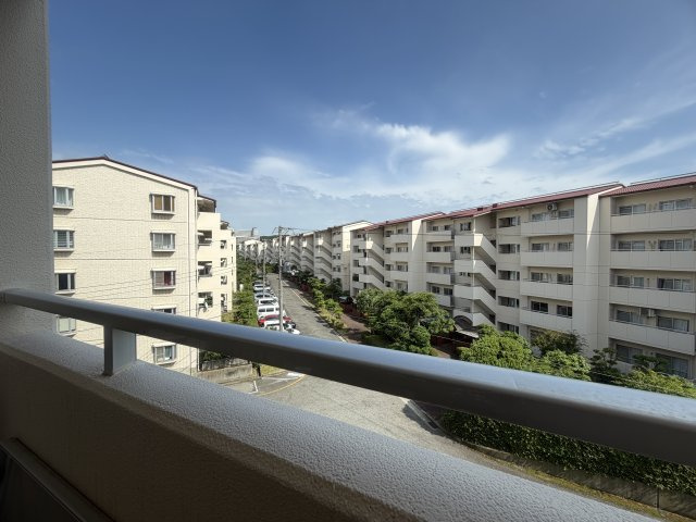 展望