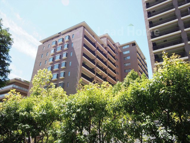 外観：313004649242