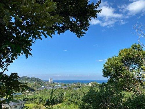 海側の景観、海が一望できます