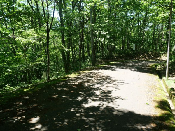 【荘川ビレッジ⑤の前面道路含む現地写真】