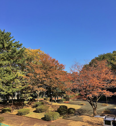 大塚西公園まで徒歩1分