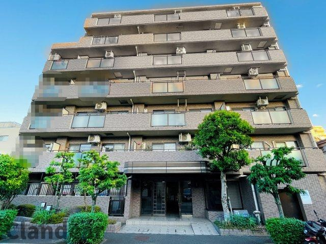 外観：313004667282