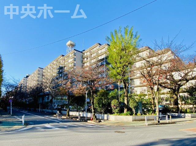 外観：313004650379