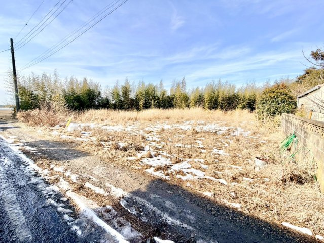 外観：312001191546