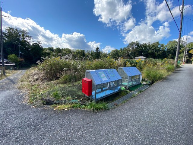 外観：325000119618