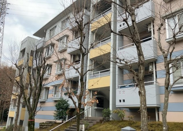 外観：313004622650