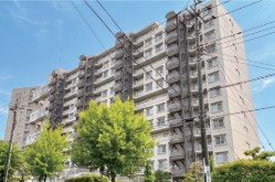 外観：312001259046