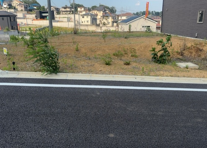 外観：313004773085