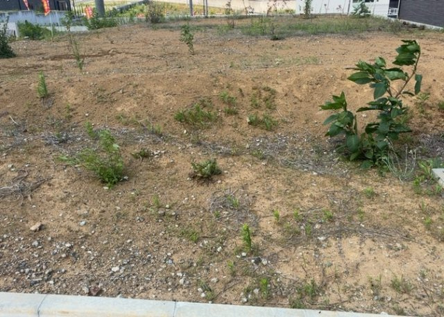 隣家の土地はどうなっているのか、生活利便施設が近くにあるのか、学校まで近いかなど、お客様のライフスタイルにあわせたイメージが重要です。また、近くにあると困る施設が近くにないかも確認するといいでしょう。