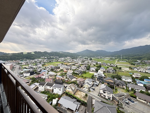 展望