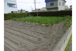 黒石市ぐみの木・土地の外観