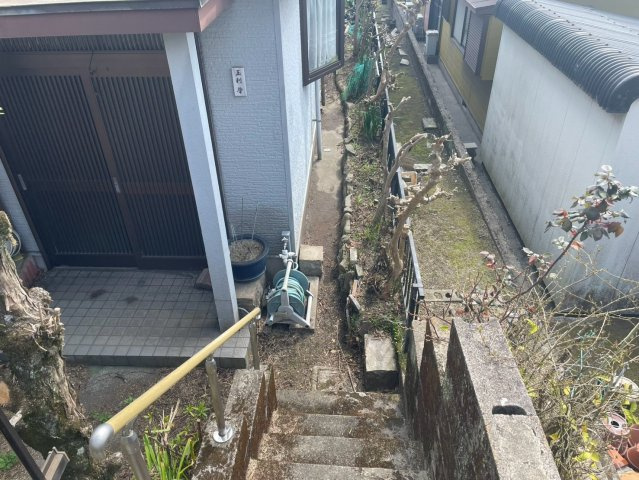 庭