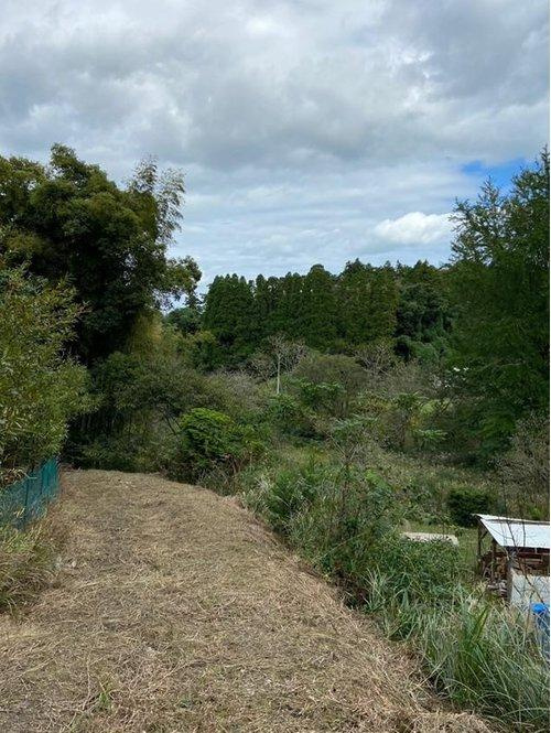 その他現地