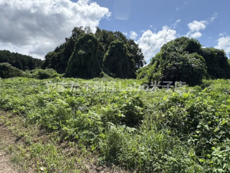 外観：331000016011