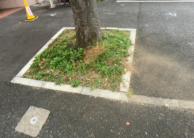 物件によっては、入居者が個人的に使用できる専用庭がついているものもあります。また、住宅の中にある土間の部分を庭と呼ぶこともあります。庭の用途は住む人によって変わり、それによってデザインもさまざまです。