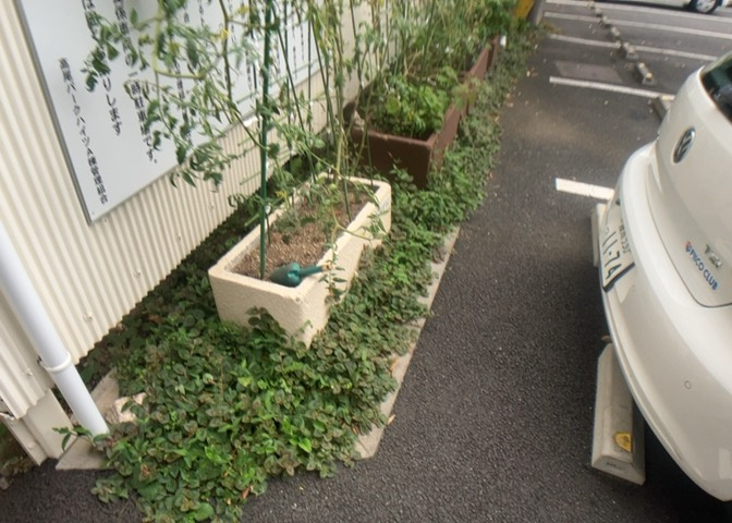 中庭（パティオ）とは、一つの建築物の内部に設けられた、壁などで囲われている庭のことを指します。コの字型、ロの字型が主流ですが、L字型の中庭もあります。最近では、インテリア性の高さからも人気があります。