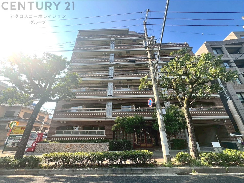 外観：328000406126