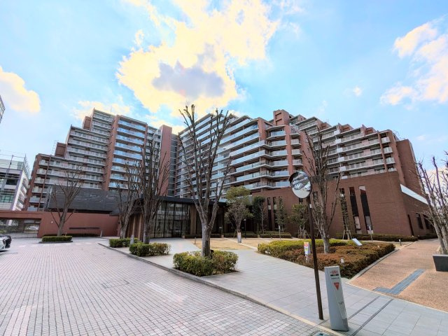 外観：313004694195