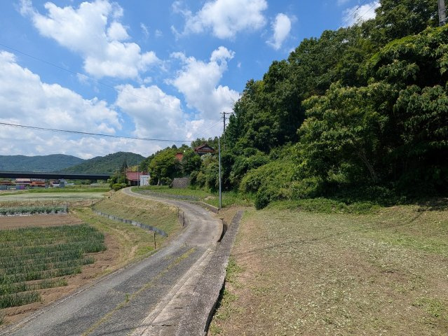 【現地写真】　2026年6月に撮影しました